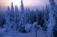 зимний отдых в финляндии
